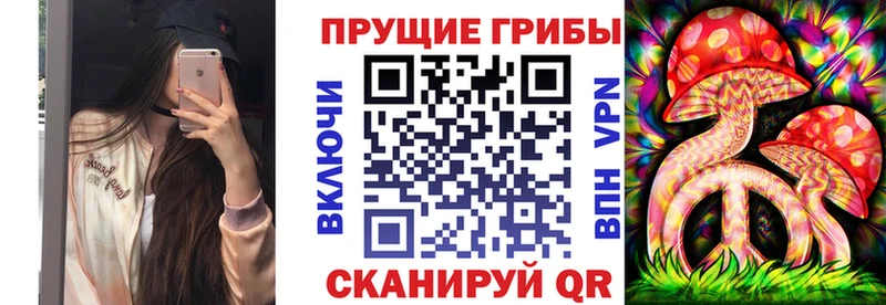 Купить закладки  Заволжье  Псилоцибиновые грибы мицелий 