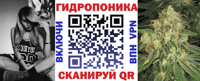 Купить закладки  Заволжье  Конопля план 